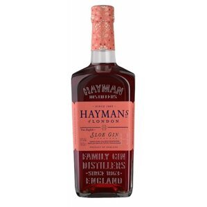Gin Haymans Sloe 0,7l