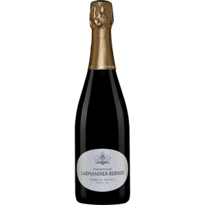 Champagne Larmandier Bernier Terre de Vertus Champagne Premier Cru 2015 Šumivé 12.5% 0.75 l